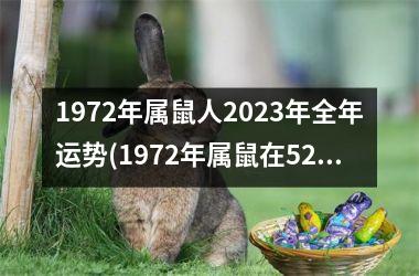 1972年属鼠人2023年全年运势(1972年属鼠在52岁有一个坎嘛)
