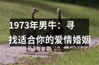 <h3>1973年男牛：寻找适合你的爱情婚姻