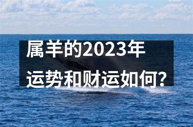 属羊的2025年运势和财运如何？