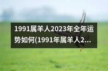 1991属羊人2023年全年运势如何(1991年属羊人2023年每月运势)