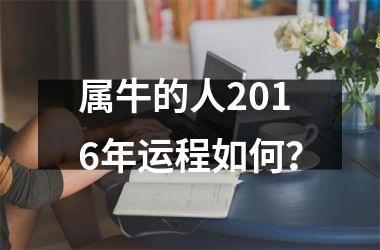 属牛的人2016年运程如何？