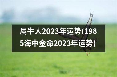属牛人2023年运势(1985海中金命2023年运势)