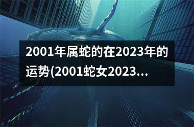 <h3>2001年属蛇的在2023年的运势(2001蛇女2023年运势及运程)