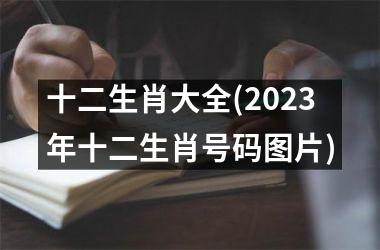十二生肖大全(2023年十二生肖号码图片)