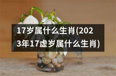 <h3>17岁属什么生肖(2025年17虚岁属什么生肖)