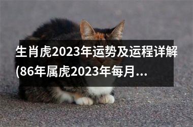 <h3>生肖虎2023年运势及运程详解(86年属虎2023年每月运势详解)