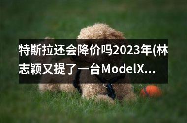 特斯拉还会降价吗2023年(林志颖又提了一台ModelX吗)