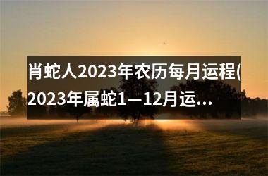 肖蛇人2023年农历每月运程(2023年属蛇1—12月运气)