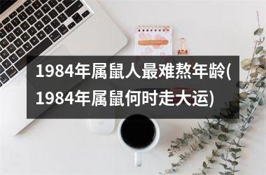 <h3>1984年属鼠人最难熬年龄(1984年属鼠何时走大运)