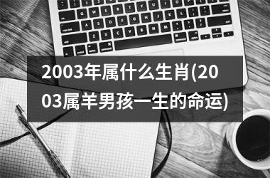 2003年属什么生肖(2003属羊男孩一生的命运)