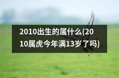 <h3>2010出生的属什么(2010属虎今年满13岁了吗)