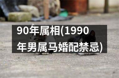 <h3>90年属相(1990年男属马婚配禁忌)