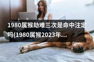 <h3>1980属猴劫难三次是命中注定吗(1980属猴2025年有三喜)