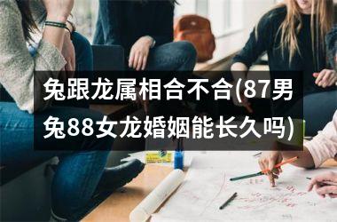 <h3>兔跟龙属相合不合(87男兔88女龙婚姻能长久吗)