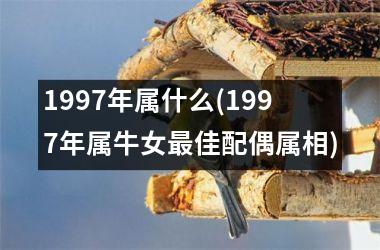 <h3>1997年属什么(1997年属牛女最佳配偶属相)