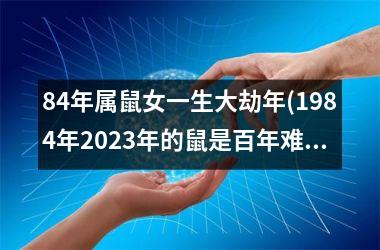 <h3>84年属鼠女一生大劫年(1984年2025年的鼠是百年难遇)