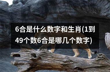 6合是什么数字和生肖(1到49个数6合是哪几个数字)