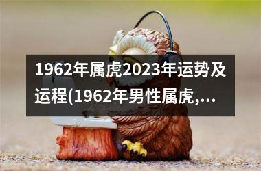 <h3>1962年属虎2025年运势及运程(1962年男性属虎,今年情况如何)