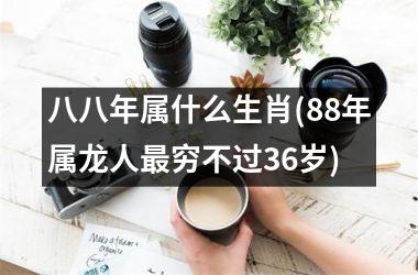 <h3>八八年属什么生肖(88年属龙人最穷不过36岁)