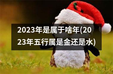 <h3>2025年是属于啥年(2025年五行属是金还是水)