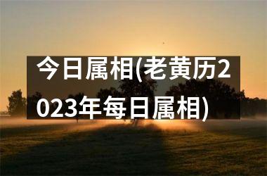 <h3>今日属相(老黄历2025年每日属相)