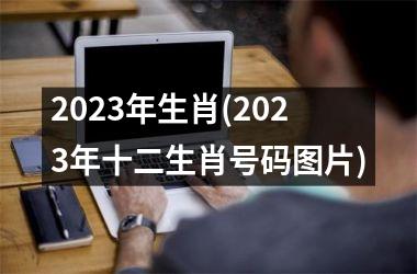 2023年生肖(2023年十二生肖号码图片)