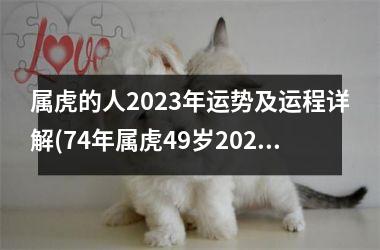 <h3>属虎的人2025年运势及运程详解(74年属虎49岁2025劫难)