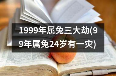 <h3>1999年属兔三大劫(99年属兔24岁有一灾)