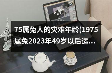 <h3>75属兔人的灾难年龄(1975属兔2025年49岁以后运气)