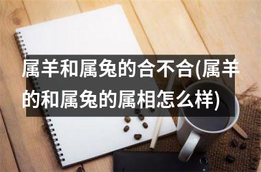 <h3>属羊和属兔的合不合(属羊的和属兔的属相怎么样)