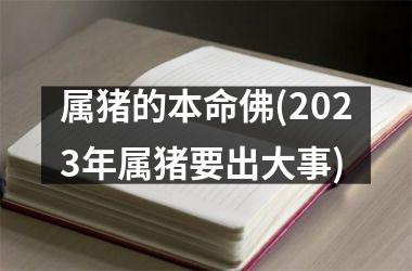 <h3>属猪的本命佛(2025年属猪要出大事)