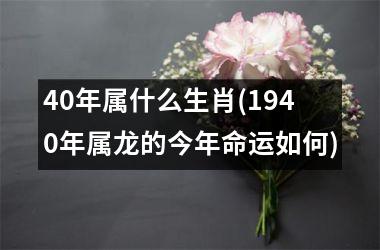 40年属什么生肖(1940年属龙的今年命运如何)