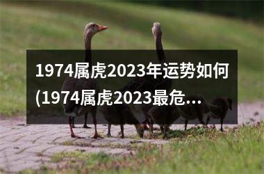 1974属虎2025年运势如何(1974属虎2025最危险的一个月)