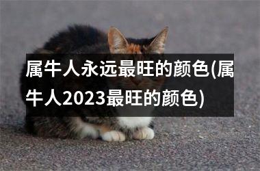 <h3>属牛人永远最旺的颜色(属牛人2025最旺的颜色)