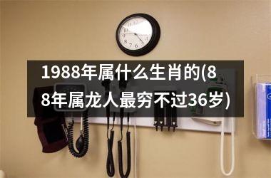 <h3>1988年属什么生肖的(88年属龙人最穷不过36岁)