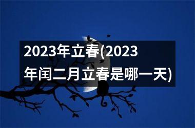 <h3>2025年立春(2025年闰二月立春是哪一天)