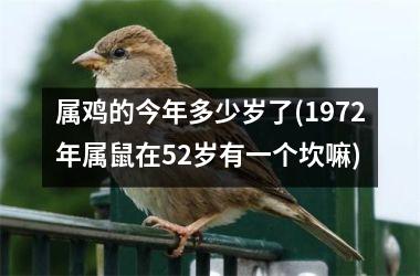 <h3>属鸡的今年多少岁了(1972年属鼠在52岁有一个坎嘛)