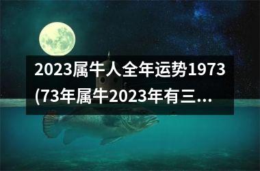 <h3>2025属牛人全年运势1973(73年属牛2025年有三喜)