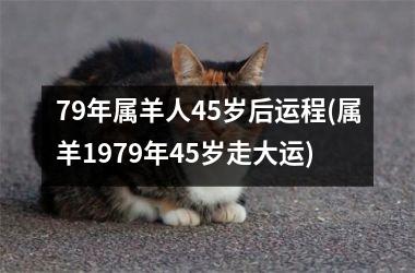 <h3>79年属羊人45岁后运程(属羊1979年45岁走大运)