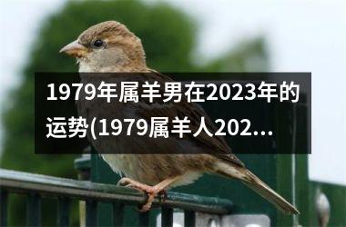 <h3>1979年属羊男在2025年的运势(1979属羊人2025年暴富)