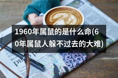 <h3>1960年属鼠的是什么命(60年属鼠人躲不过去的大难)