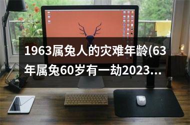 <h3>1963属兔人的灾难年龄(63年属兔60岁有一劫2025年)