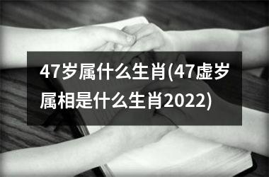 <h3>47岁属什么生肖(47虚岁属相是什么生肖2025)