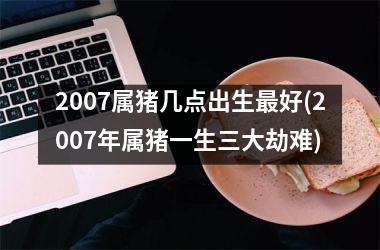 <h3>2007属猪几点出生最好(2007年属猪一生三大劫难)