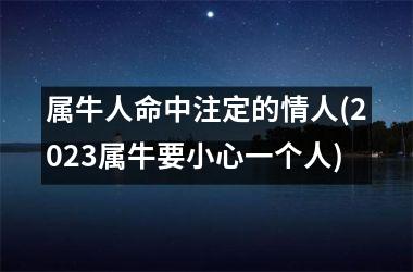 <h3>属牛人命中注定的情人(2025属牛要小心一个人)