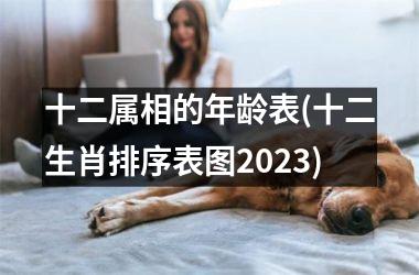 <h3>十二属相的年龄表(十二生肖排序表图2025)