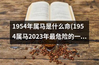 <h3>1954年属马是什么命(1954属马2025年最危险的一个月)