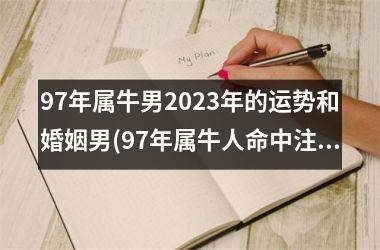 <h3>97年属牛男2025年的运势和婚姻男(97年属牛人命中注定的另一半)