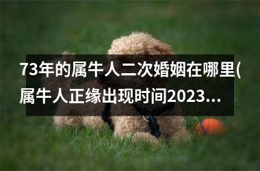 <h3>73年的属牛人二次婚姻在哪里(属牛人正缘出现时间2025年)