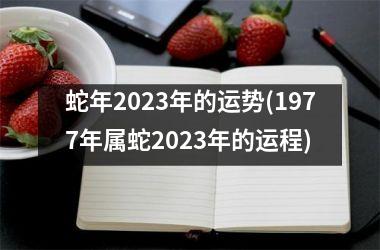 <h3>蛇年2023年的运势(1977年属蛇2023年的运程)